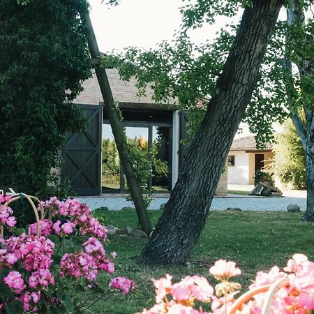 Agriturismo Palazzo Baldini Villa Bagnacavallo Bagian luar foto